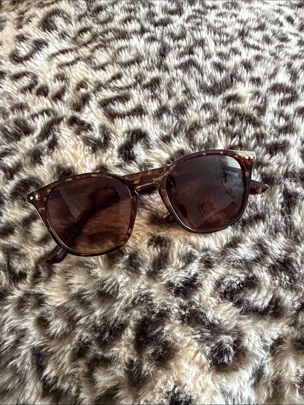 Classic Brown Tortoiseshell Sunglasses